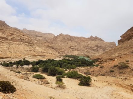 Wadi Shuwaymiyah See