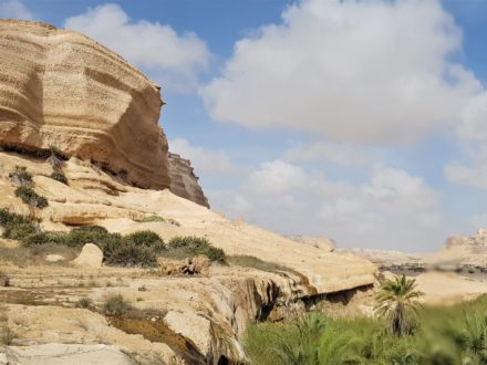 Wadi Shuwaymiyah