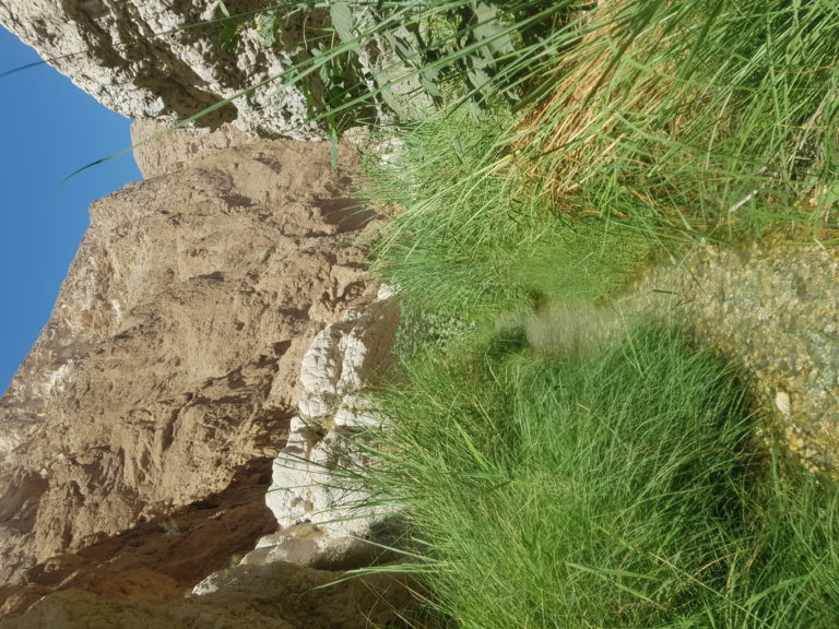 Wadi Shab Oman
