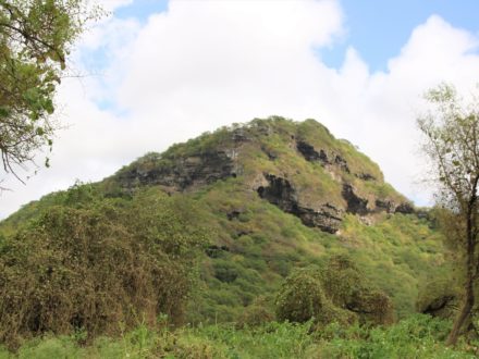 Wadi Darbat Oman Salalah Dhofar Berge Mietwagenrundreise