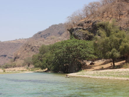 Wadi Darbat Trockenzeit
