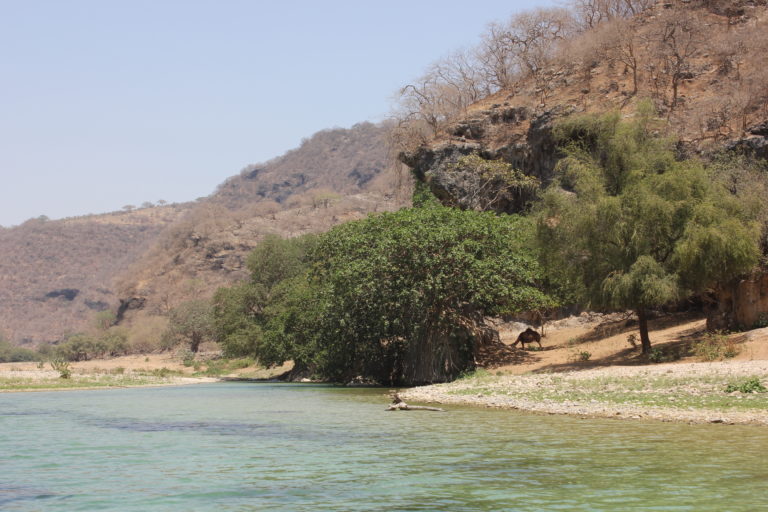 Wadi Darbat Trockenzeit