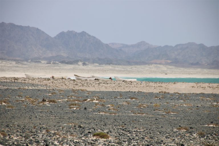 Boote Masirah Island Oman Mietwagenrundreise