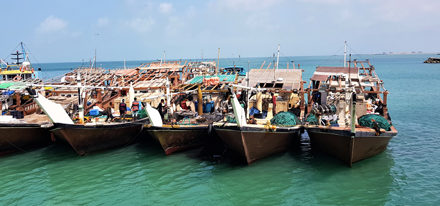 Masirah Island Oman Mietwagenrundreise