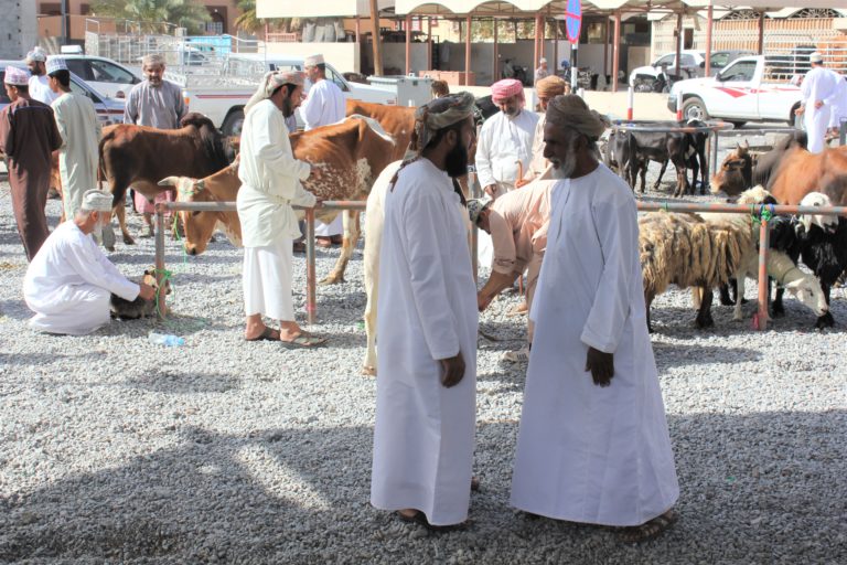 Viehmarkt Nizwa Verhandlung