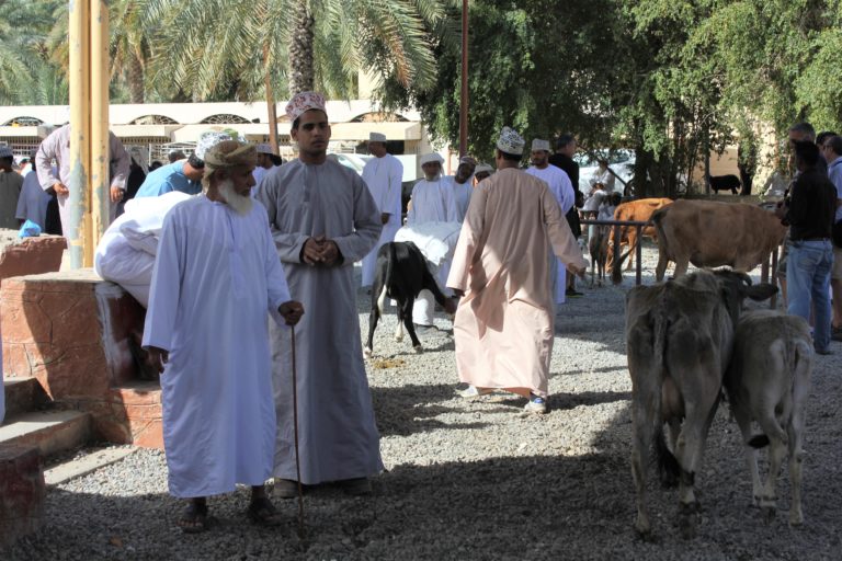 Viehmarkt Nizwa Oman