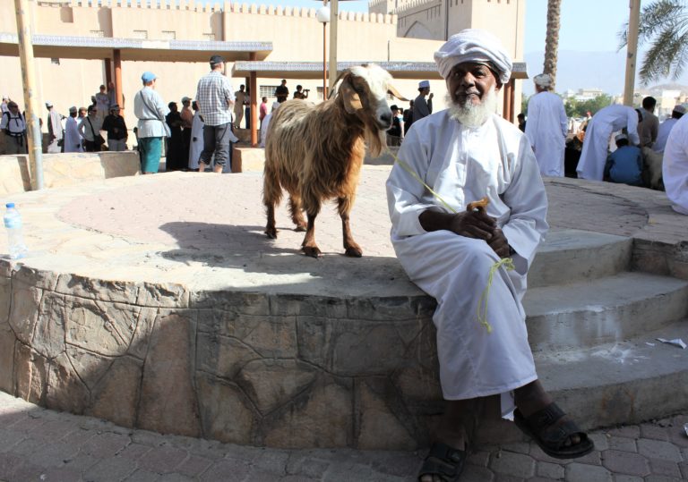 Ziege Nizwa Viehmarkt Oman