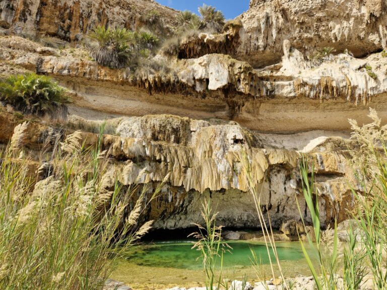 Wadi Ash-Shuwaymiyah Teich