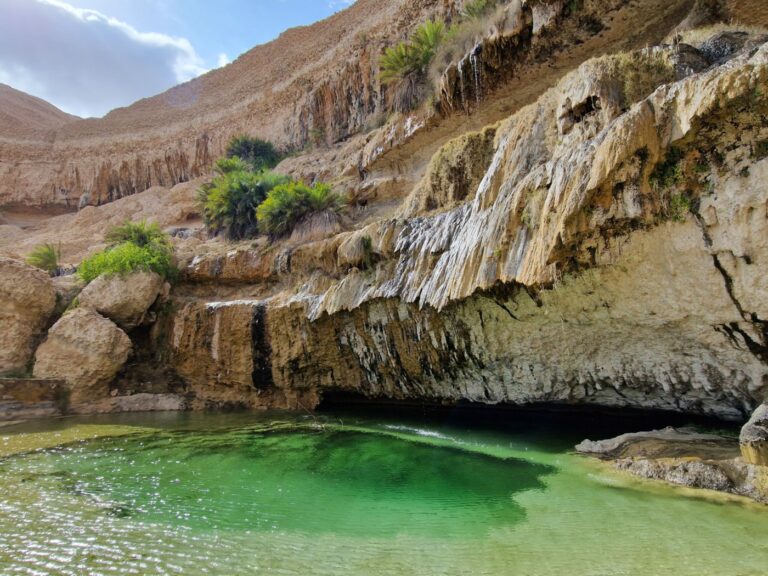 Wadi Shuwaymiyah Teich