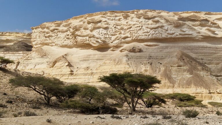 Wadi Shuwaymiyah Felswand