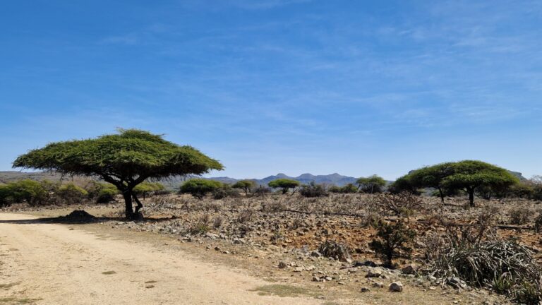 Jebel Samhan Oman