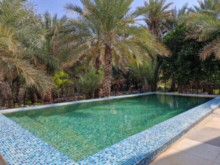 Wadi Al Arbeieen Resort Pool