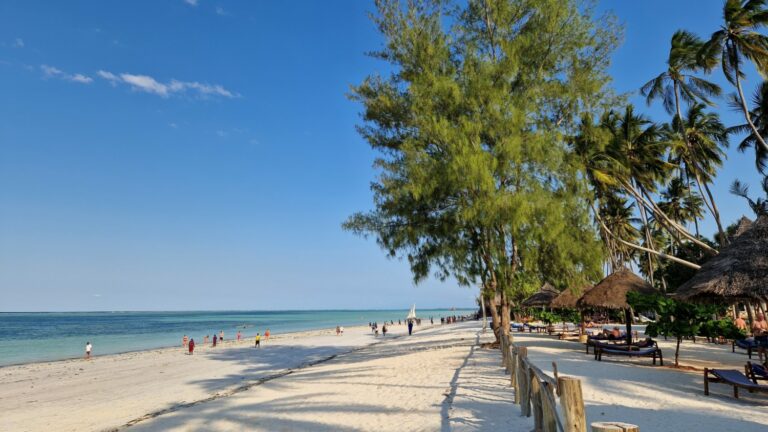 Strand Ocean Paradise Ostküste Sansibar
