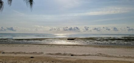 Strand bei Ebbe Kiwenga Sansibar Ostküste