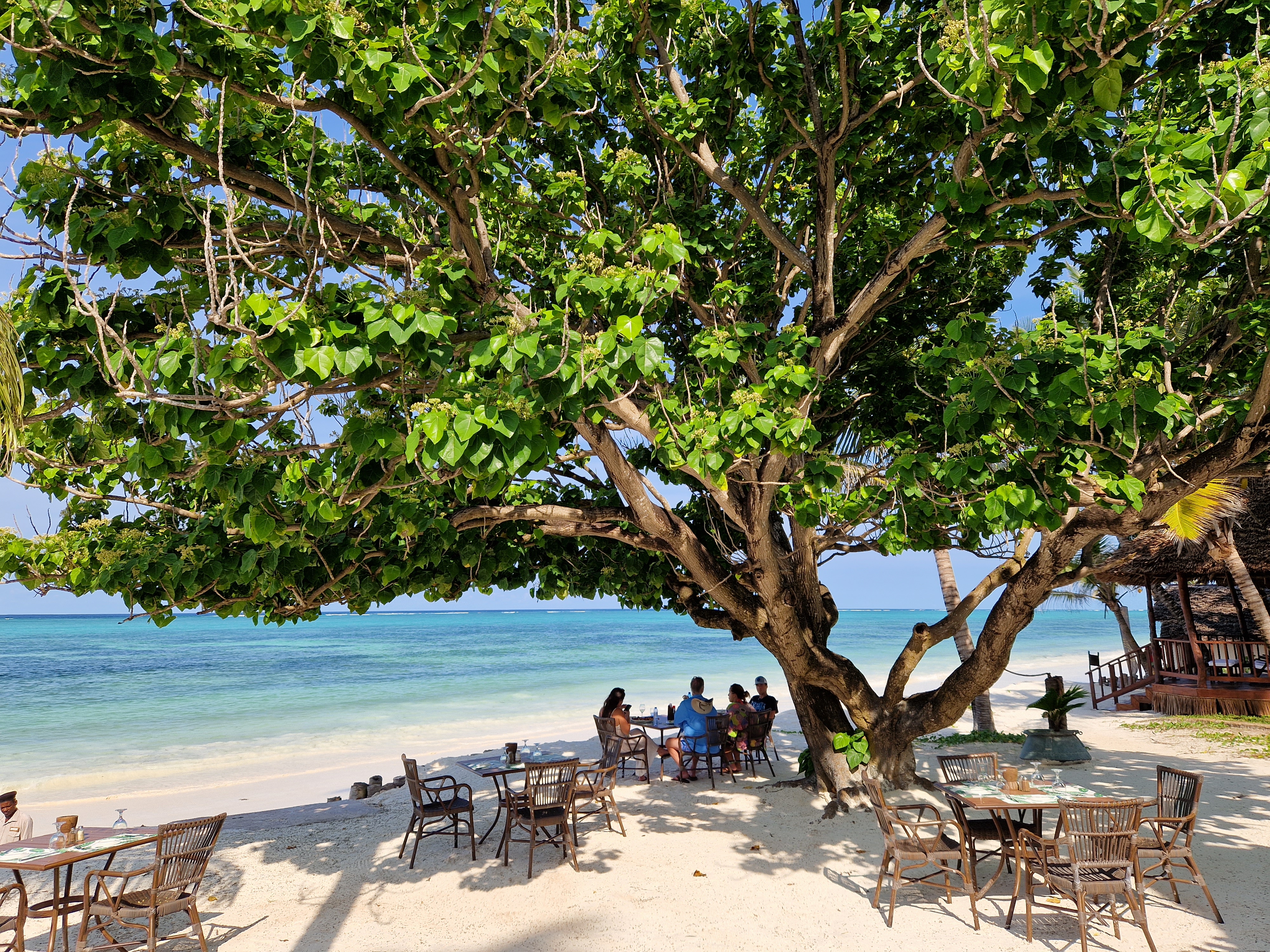 Breezes Beach Club and Spa Zanzibar Hotel Baum