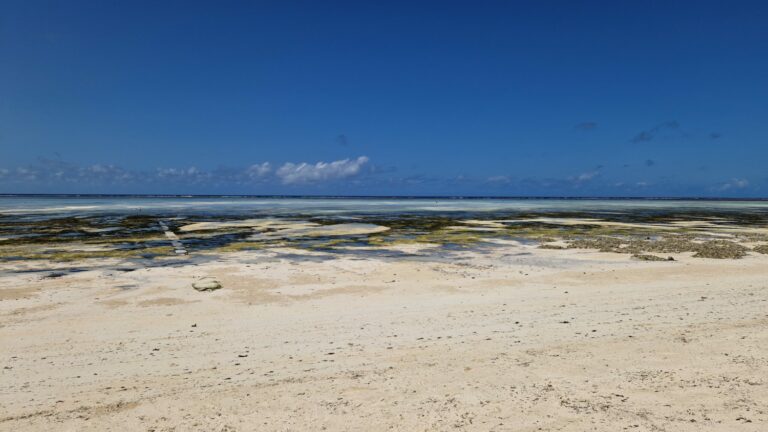 Strand bei Ebbe Paje Sansibar Ostküste