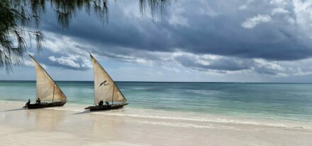 Strand Pwani Sansibar Zanzibar Oman