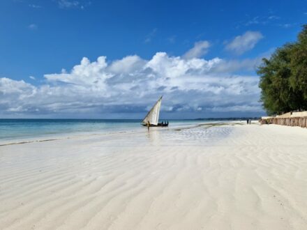 Strand Pwani Sansibar Zanzibar Oman