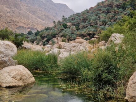 Wadi Tiwi Oman Rundreise Bach