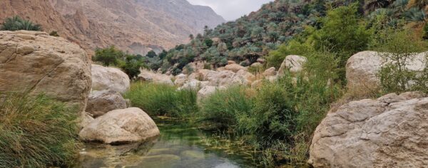 Wadi Tiwi Oman Rundreise Bach
