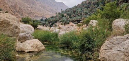 Wadi Tiwi Oman Rundreise Bach