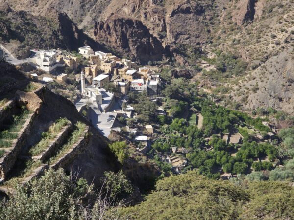 Jabal Akhdar Oman Terrassenfelder
