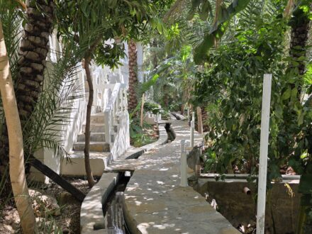 Nomad Inn Tiwi Oman Garten