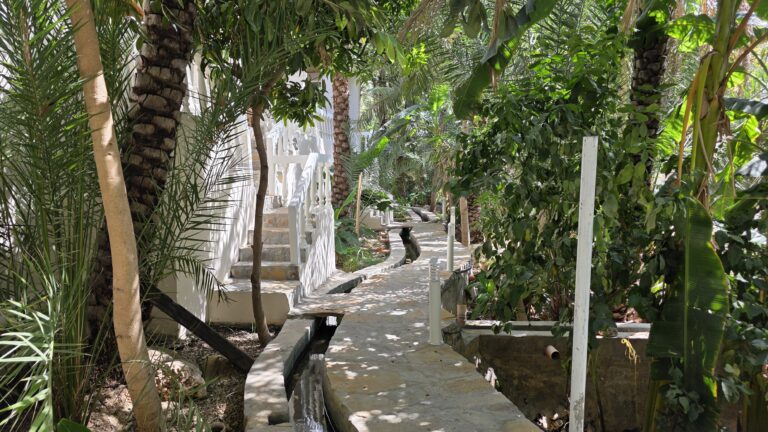 Nomad Inn Tiwi Oman Garten